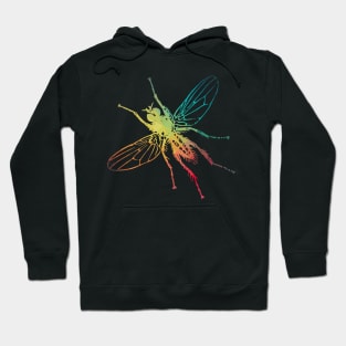 Rainbow fly Hoodie